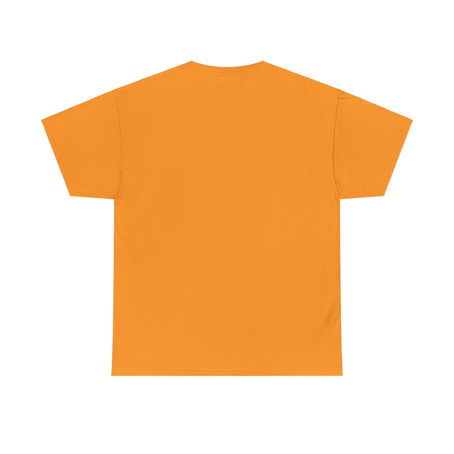 HCS Curriculum and Instruction: Lighting the Way to Achievement Cotton Tee